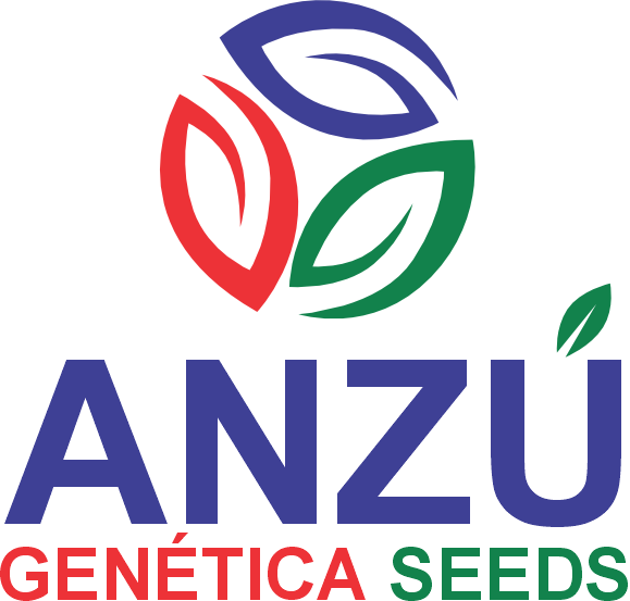 Anzu